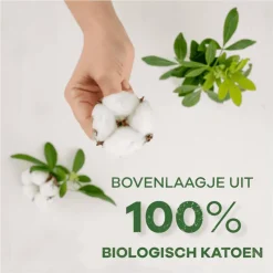 Always Dailies Bio Cotton Normal