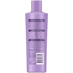 Andrélon Zilver Care Shampoo 250 ML