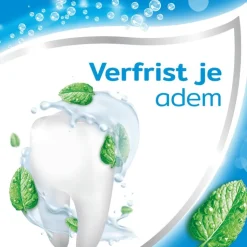 Aquafresh Coolmint Tandpasta 5-pack