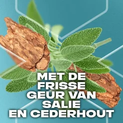 Heren AXE Apollo Douchegel 250 ML
