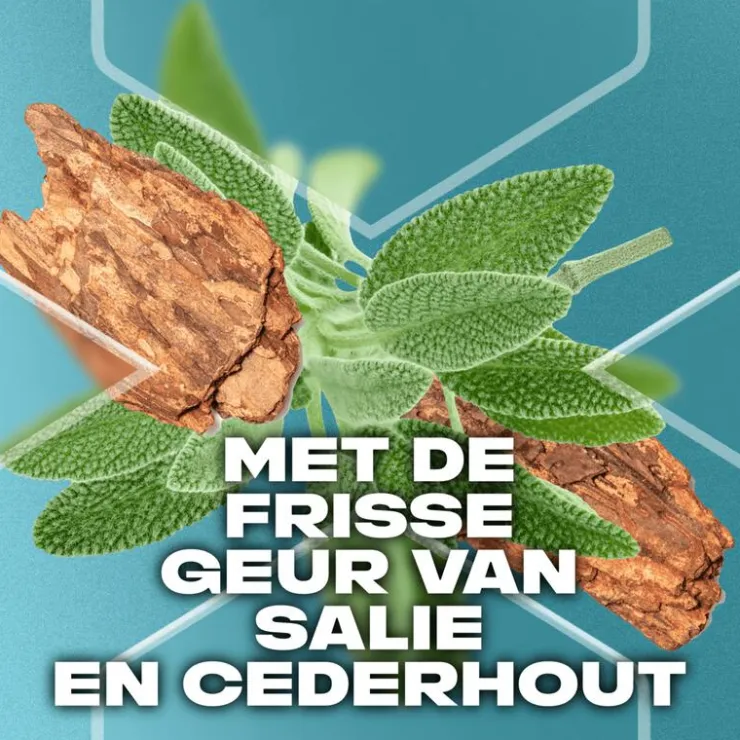 Heren AXE Apollo Douchegel 250 ML
