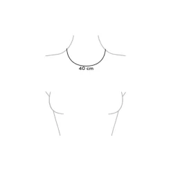 BiSjU Jewellery Ketting Munt Gold Plated