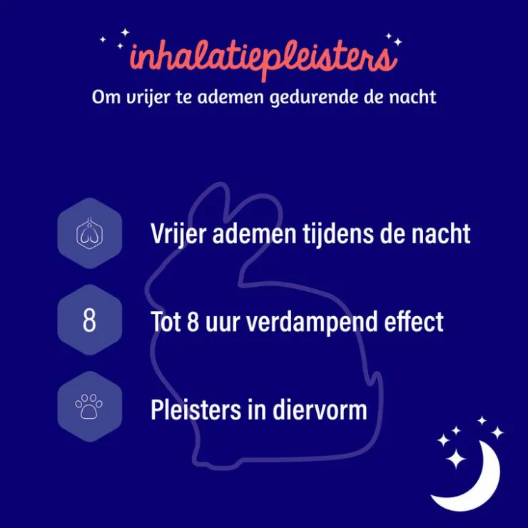 Dampo Inhalatiepleisters 6 pleisters