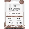 Eylure Dybrow Dye Kit Mid Brown