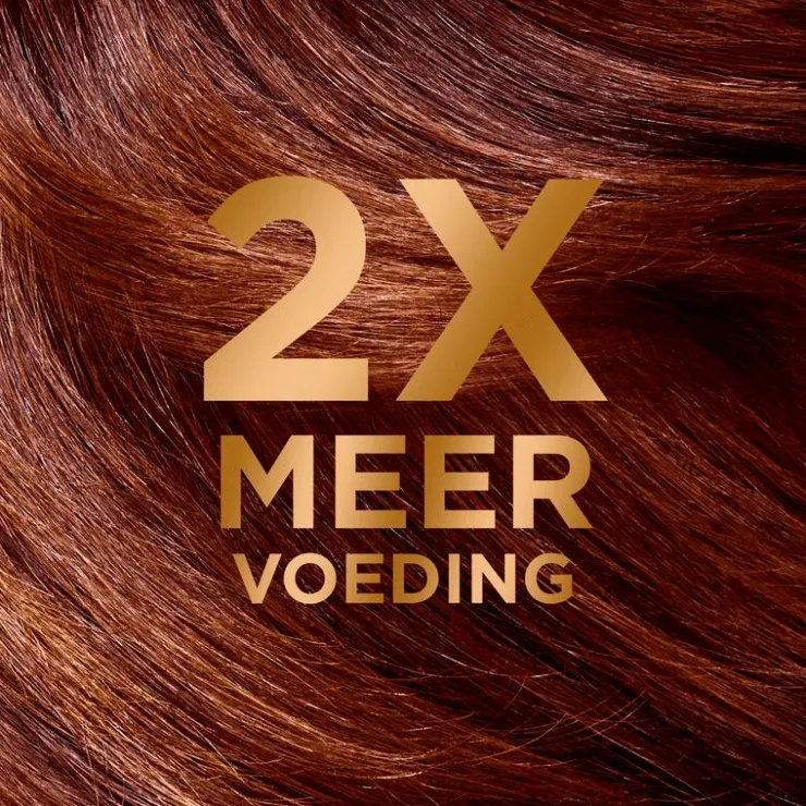 Garnier Loving Blends Argan & Cameliaolie Shampoo 300 ML