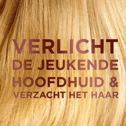 Garnier Loving Blends Milde Haver Conditioner 250 ML