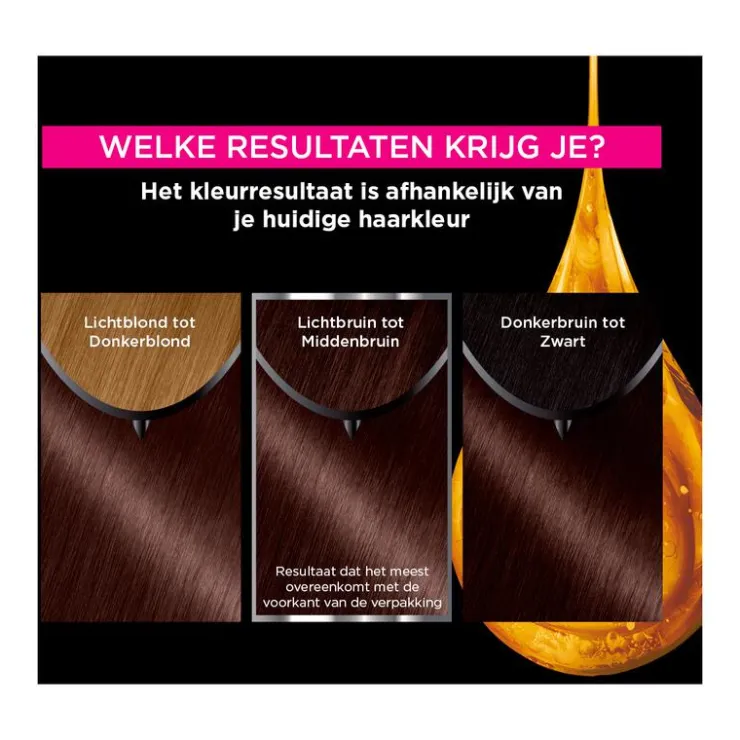 Garnier Olia Permanente Haarverf