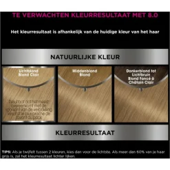 Garnier Olia Permanente Haarverf
