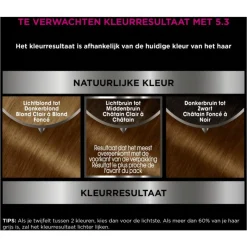Garnier Olia Permanente Haarverf
