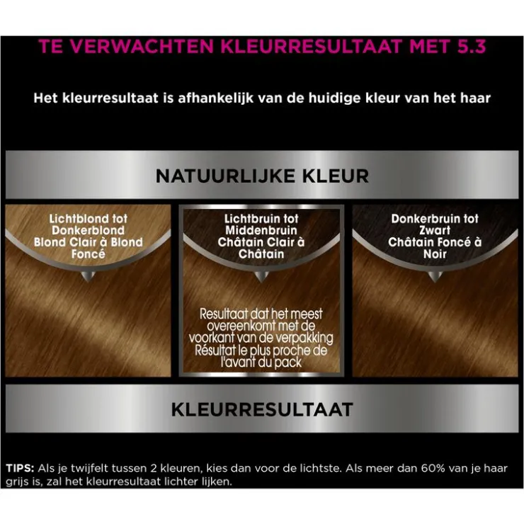 Garnier Olia Permanente Haarverf