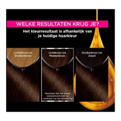 Garnier Olia Permanente Haarverf