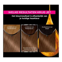 Garnier Olia Permanente Haarverf