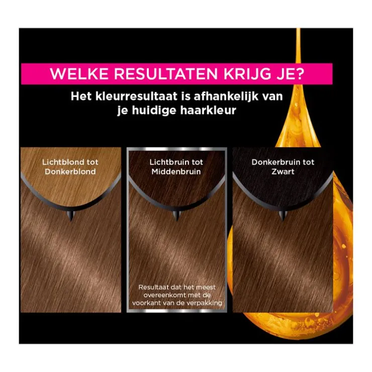 Garnier Olia Permanente Haarverf
