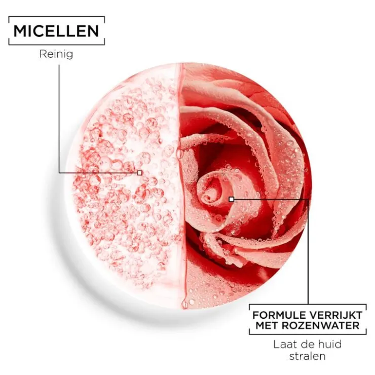 Garnier SkinActive Micellair Reinigingswater met Rozenwater 400 ML