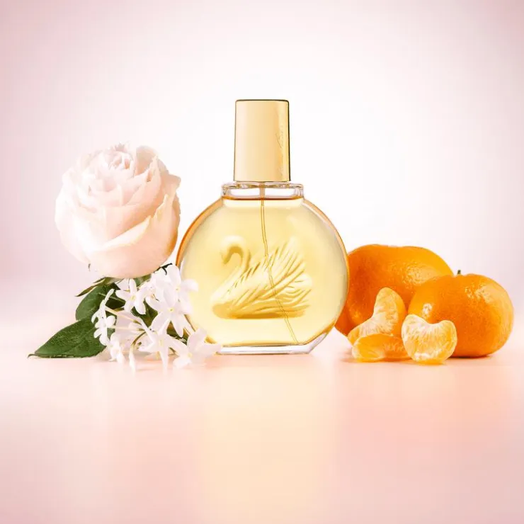 DAMES Gloria Van Der Bilt Gloria Vanderbilt eau de toilette 100 ML