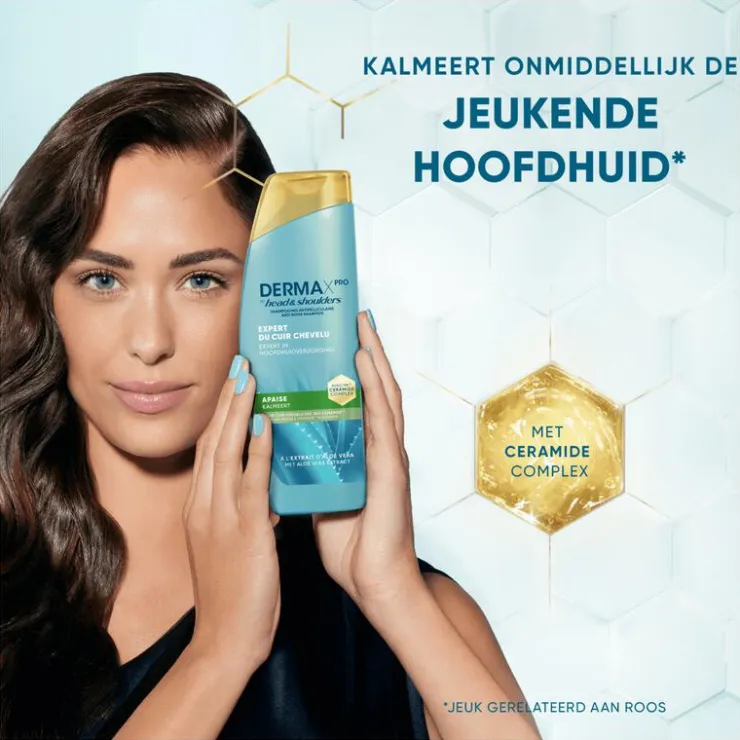 Head and Shoulders Head & Shoulders Derma X Pro Kalmeert Anti-Roos Shampoo 250 ML