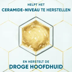 Head and Shoulders Head & Shoulders Derma X Pro Kalmeert Anti-Roos Shampoo 250 ML