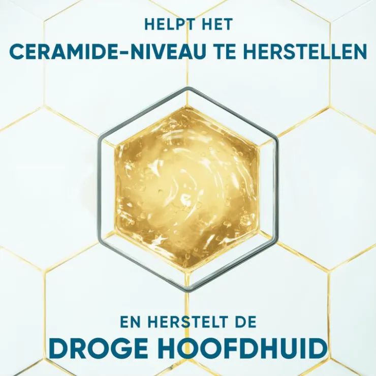 Head and Shoulders Head & Shoulders Derma X Pro Kalmeert Anti-Roos Shampoo 250 ML