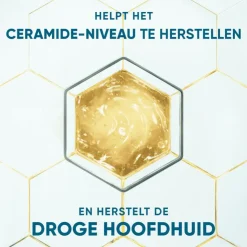 Head and Shoulders Head & Shoulders Derma X Pro Hydrateert Shampoo Anti-roos 250 ml