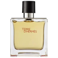 Heren Hermes Terre d' eau de parfum 75 ML