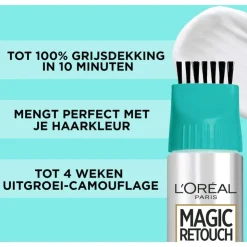 L'Oréal Paris L Oréal Paris Magic Retouch Permanent 6