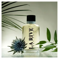 Heren La Rive Grey Point eau de toilette 90 ML