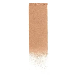 L'Oréal Paris Infaillible 24H Fresh Wear Foundation in a Powder