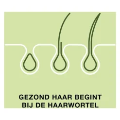 Priorin 60 Capsules Met Biotine Voor Sterk En Vol Haar Van Binnenuit