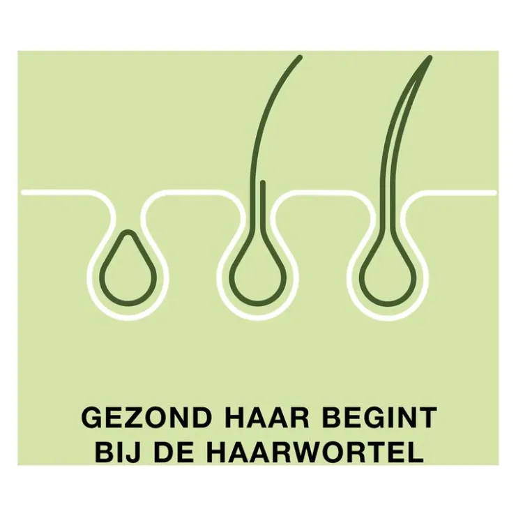Priorin 60 Capsules Met Biotine Voor Sterk En Vol Haar Van Binnenuit