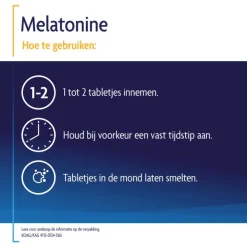 SleepzZ Shiepz Melatonine Original 0,1 mg 500 tabletten