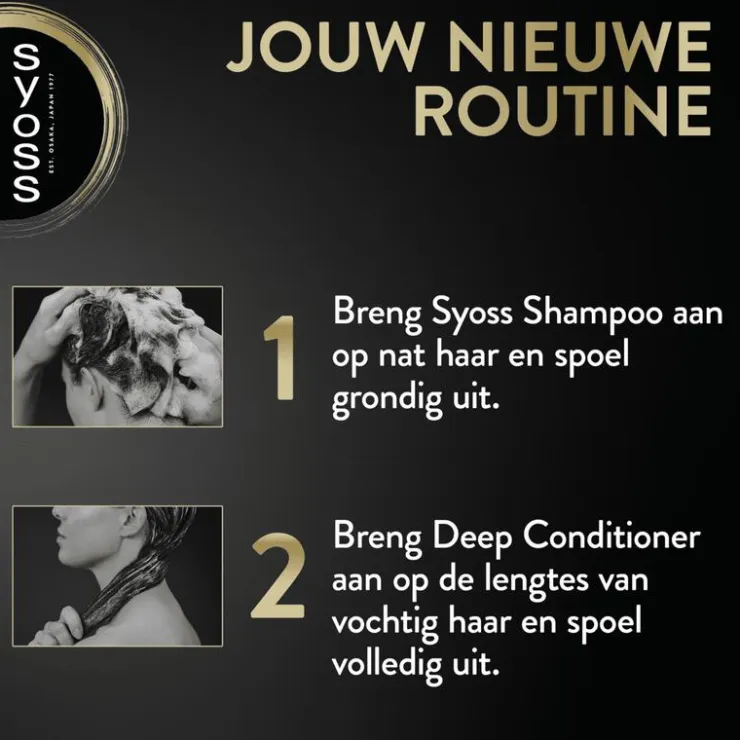 Syoss Intense Oleo Deep Conditioner 250 ML