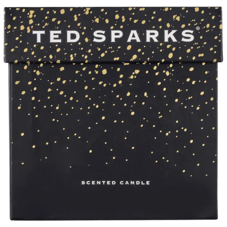 Ted Sparks Demi Candle Cinnamon & Spice