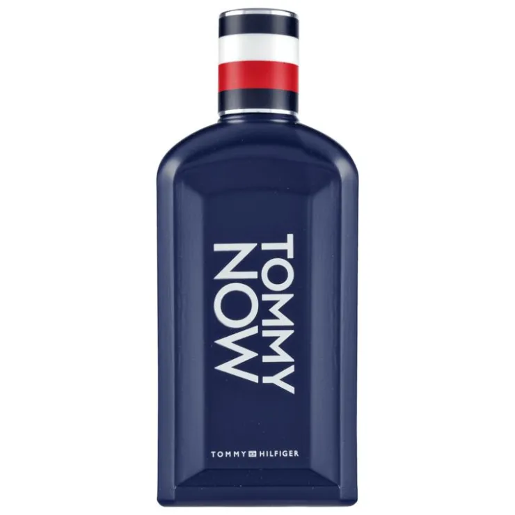 Heren Tommy Hilfiger Tommy Boy Now eau de toilette 100 ML