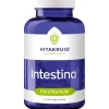 Vitakruid , Intestina