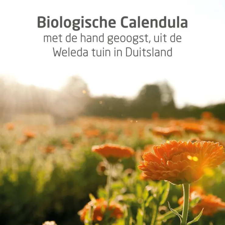 Weleda Baby Calendula Bodycrème