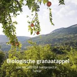 Weleda Granaatappel 24H Deodorant Roller 50 ML
