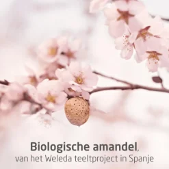 Weleda Mama Perineum Massage Olie